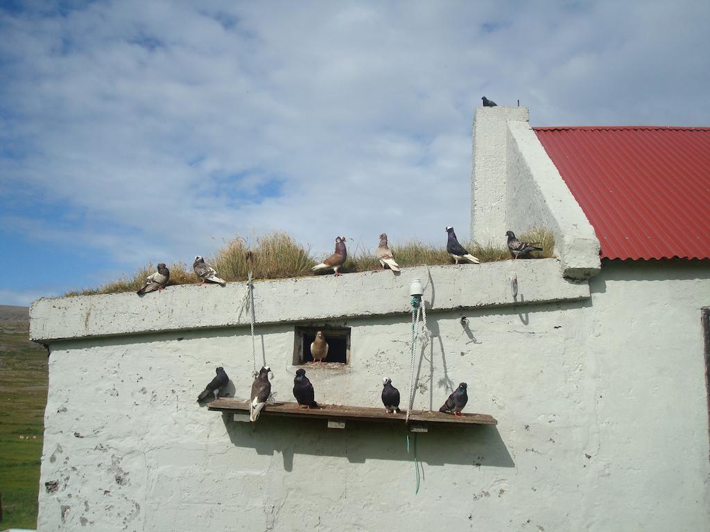 Holiday home Haenuvik Hnjotur