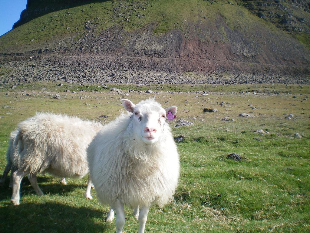 Haenuvik Hnjotur