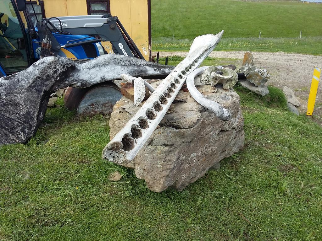 Haenuvik Holiday home *